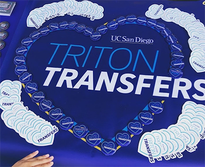 Triton Transfer Hub